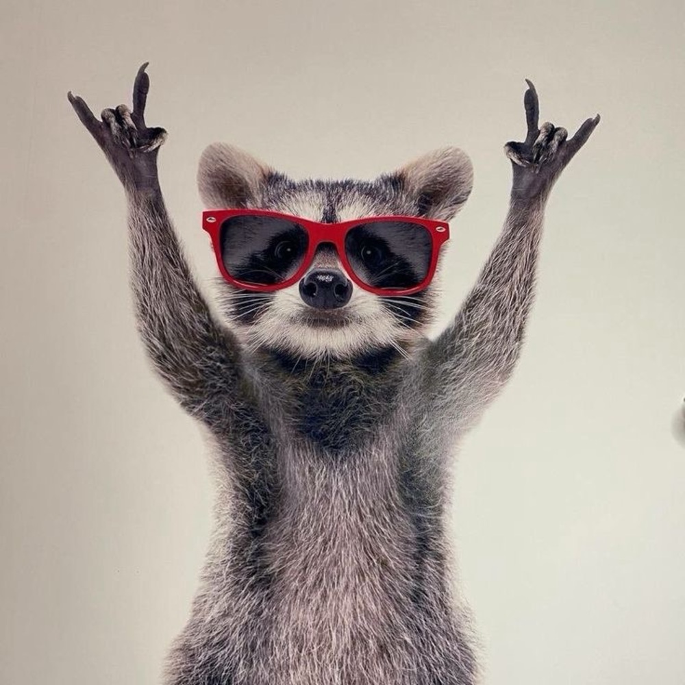 Meet your Posher, Mareli